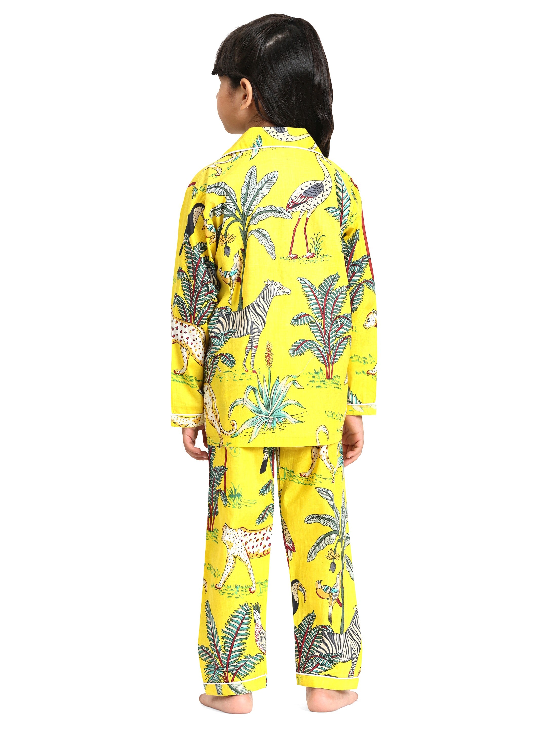The Dream Safari